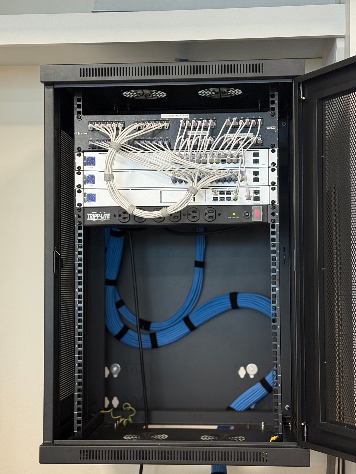 Network rack with patch panel and labelled cabling