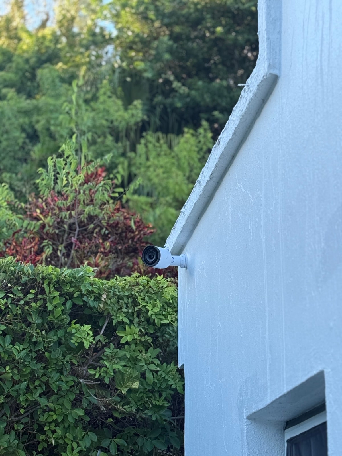 Bullet camera on a white wall above the hedges
