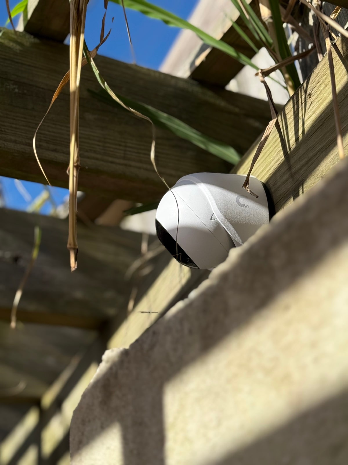 Dome camera tucked into wood lattice for cover