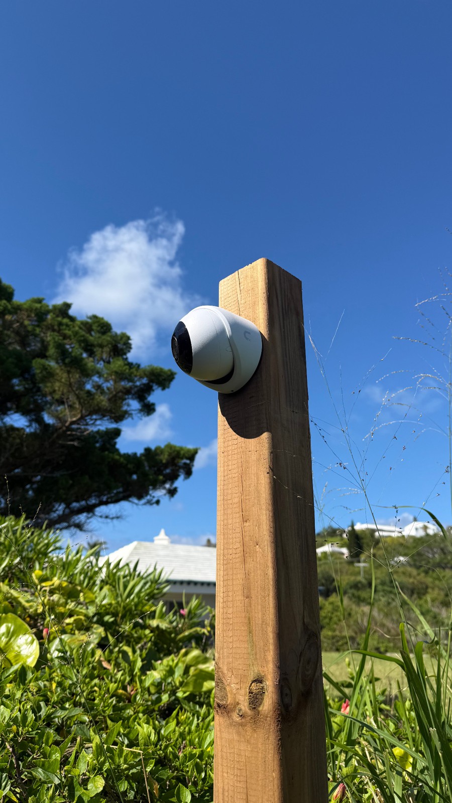 AI Turret upgrade beside a classic Bermuda sun ornament