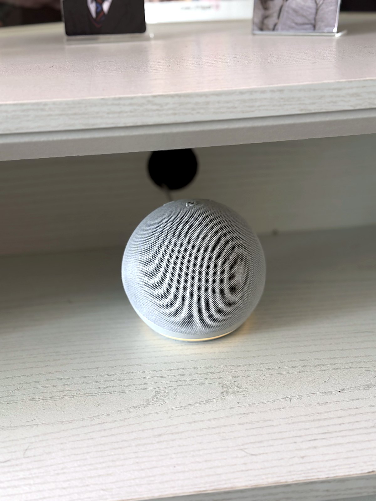 Voice assistant - hands-free control of the whole home